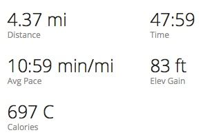 Garmin.jpg