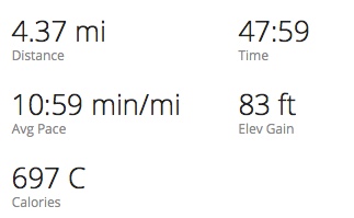 Garmin.jpg