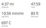Garmin.jpg