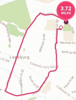 Fitbit GPS Map.jpg