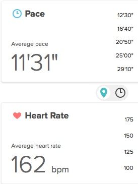 Fitbit Stats.jpg