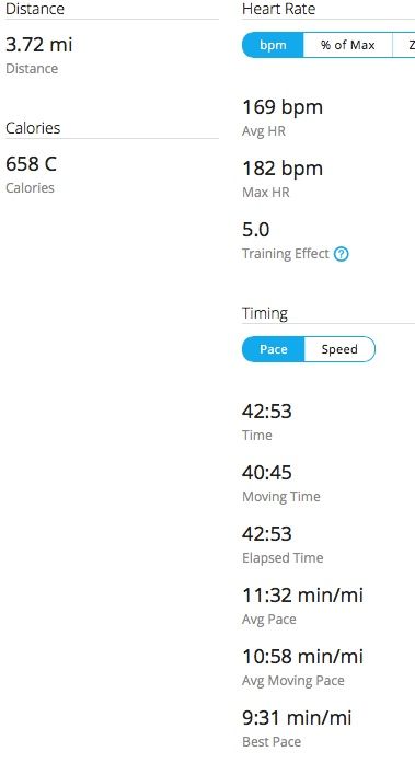 Garmin 620 Stats.jpg