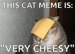 Cheese