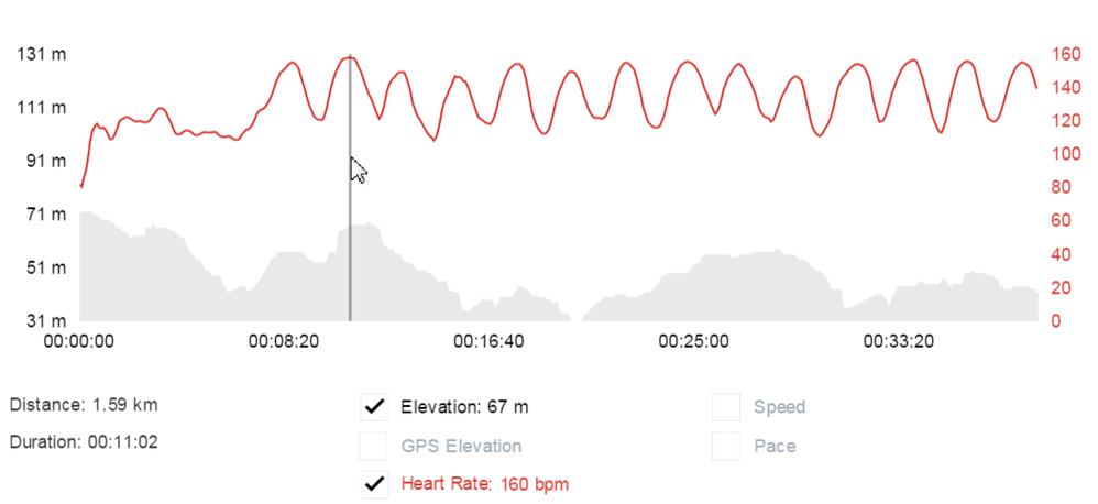 HIIT, Runtastic, Mio Alpha