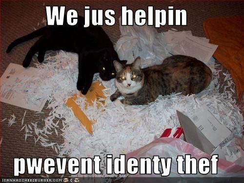 cat shred