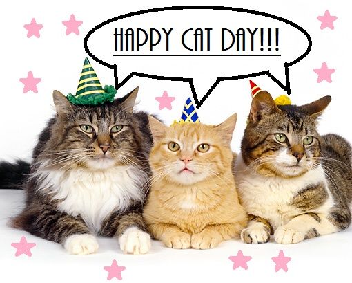 cat day 3.JPG