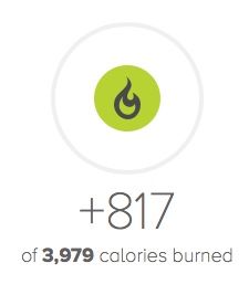 Calories Burned Exercise.jpg