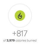 Calories Burned Exercise.jpg