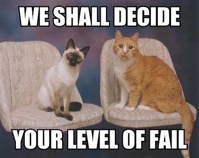 cats_fail.jpg