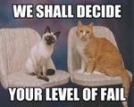 cats_fail.jpg