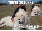 i_bitch_please_lion_53047b0823824.jpg