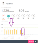explained food plan.png