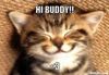 Hello