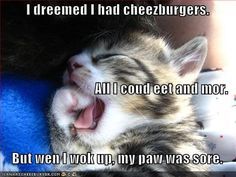 Dreaming