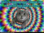 Feed_40ca7a_2726979.jpg