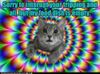 Feed_40ca7a_2726979.jpg