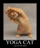Stretch