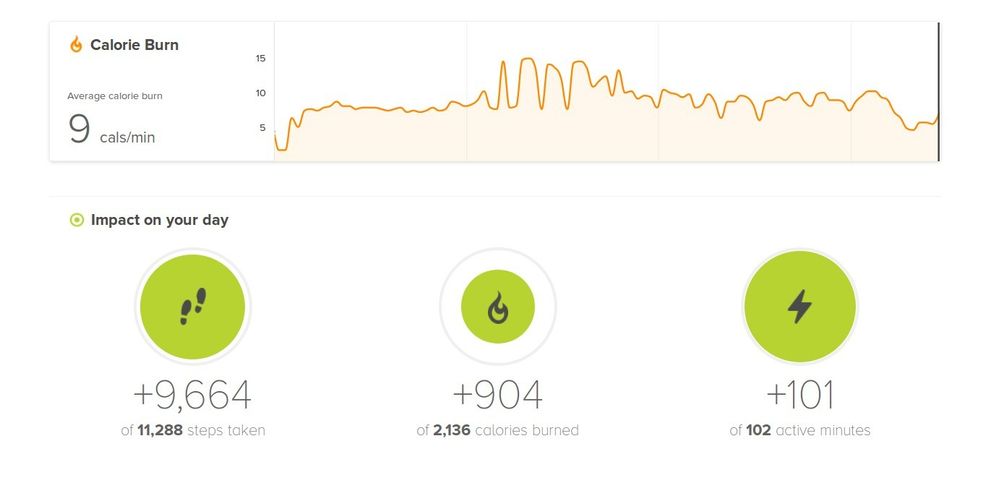 Treadmill 2 160409.jpg