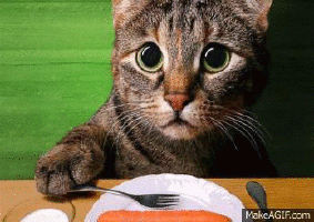 200_s.gif
