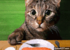 200_s.gif
