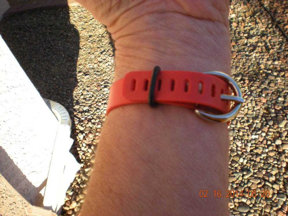 Flexbuckle1.JPG