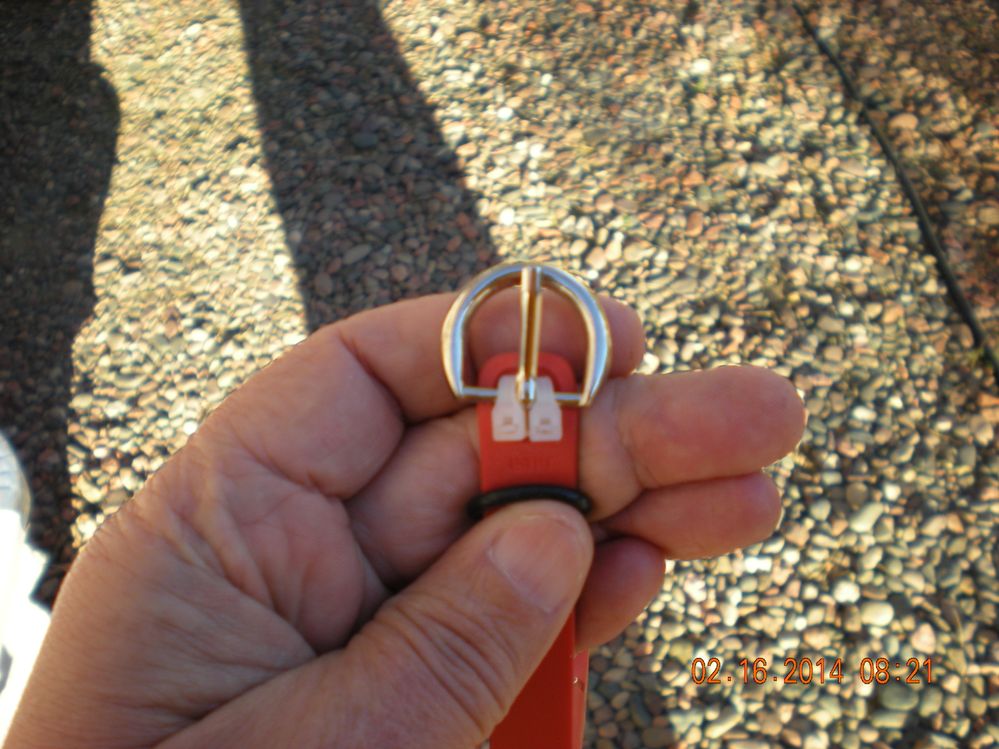 Flexbuckle2.JPG