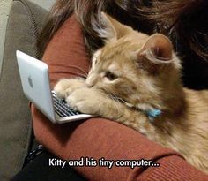 Kitty PC