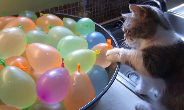 Balloons