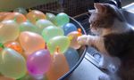 Balloons
