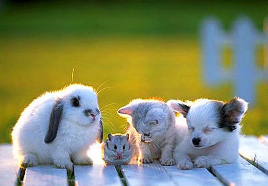 friends