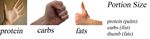 portion size.jpg