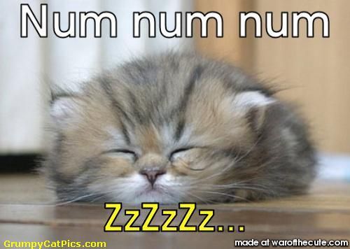 sleep