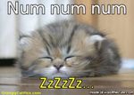 sleep