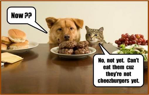 Cheezeburger