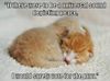 Purr