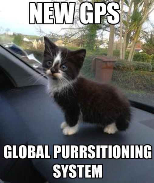 GPS Kitten