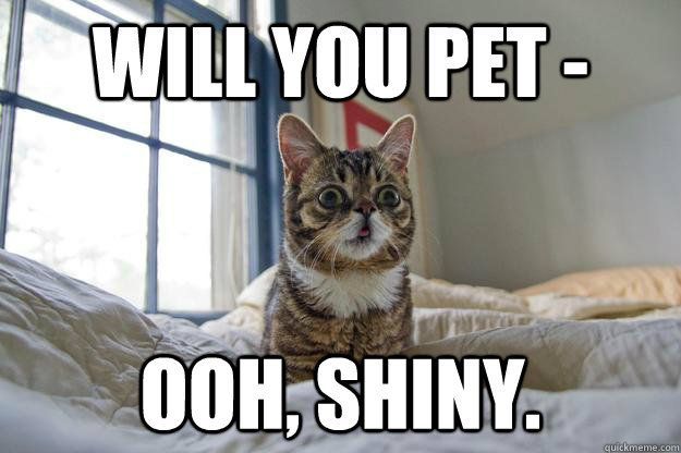 Pet