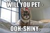 Pet