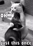 Hugs