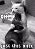 Hugs