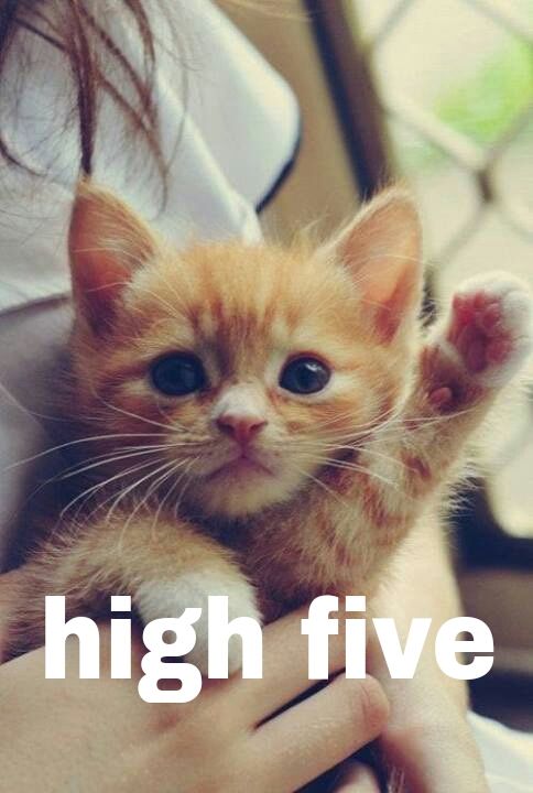 HighFive