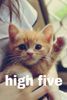 HighFive