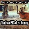 Dust
