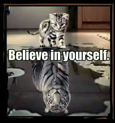 Believe