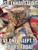 Sleeping