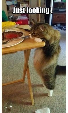 Yummy