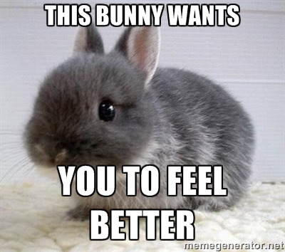 Bunny