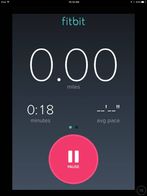 fitbit_screen.jpg fitbit_screen.jpg