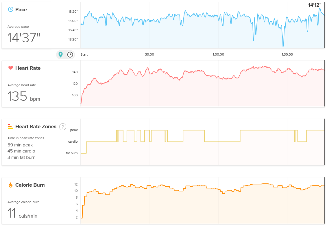 fitbit_stats.PNG