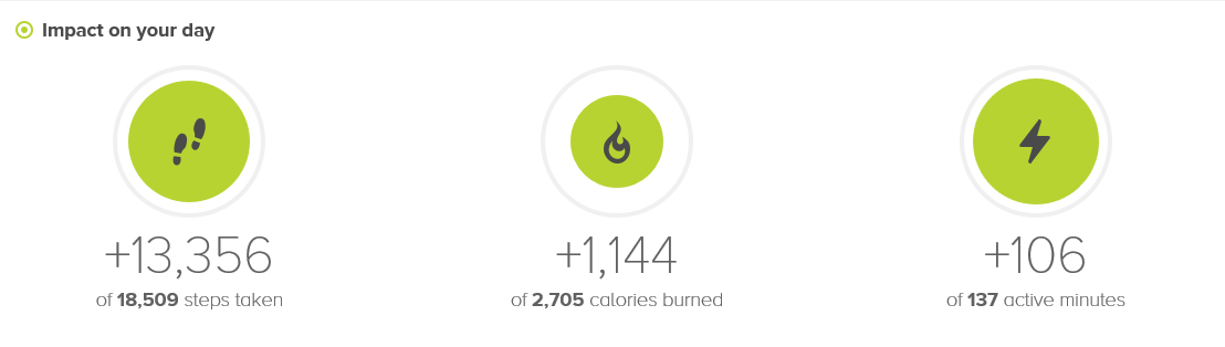 fitbit_summary.PNG